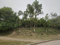 -咸阳湖景区-古渡公园