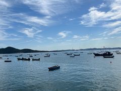 -海源公园