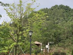 -崖口云吞(中堡店)