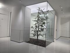 -极简口腔(总院)