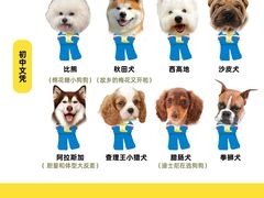 -翊宠yipet猫狗购宠庄园