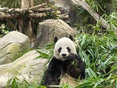 -香港海洋公园