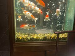 -浩运·海鲜青岛菜·海胆水饺(石老人店)
