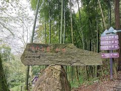 -莫干山风景区