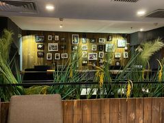 -百好乐宠物友好餐厅(朝外大街店)