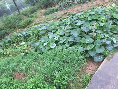 -天目湖刘老四农庄