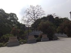 -小洲村