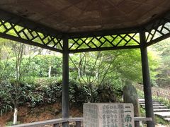 -岳麓山风景名胜区