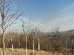 -阳台山自然风景区