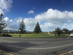 -Dooley's Premium Ice Cream