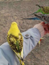 -萌宠亲子动物乐园(槐房万达店)