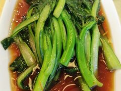 -陈麻婆豆腐(春熙店)