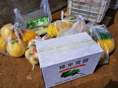 -庞各庄西瓜蔬菜采摘园·锦华瓜园