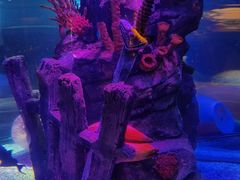 -沈阳海洋探索中心