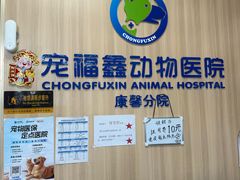 -宠福鑫康馨动物医院·骨科·眼科