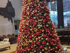 -上海齐鲁万怡大酒店·辣椒屋咖啡厅