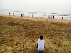 -日照海滨国家森林公园