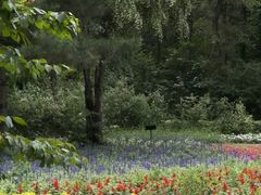 -黑龙江省森林植物园