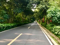 -南京东郊国宾馆