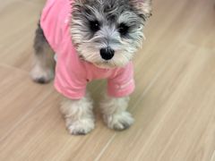 -派特宠物医院(圆融广场店)