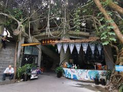 -西双版纳原始森林公园