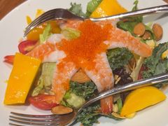 -稻前Taoki(方圆荟店)