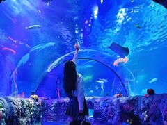 -沈阳海洋探索中心