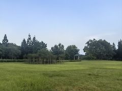 -福建鲤鱼洲酒店