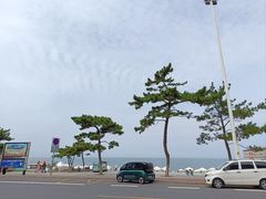 -威海国际海水浴场旅游区