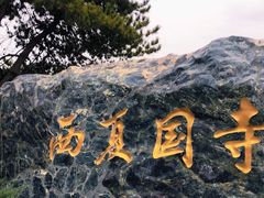 -张掖大佛寺景区