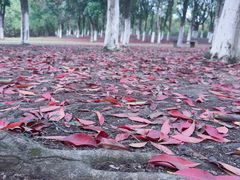 -艾溪湖湿地公园