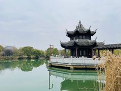 -八大山人梅湖景区