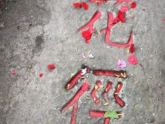 -庐山风景区花径公园