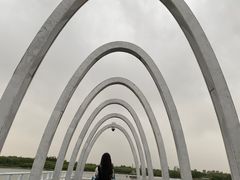 -大兴滨河森林公园