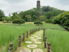 -红花山公园