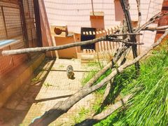 -青藏高原野生动物园