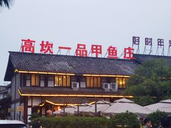 -高坎一品甲鱼庄(两河店)