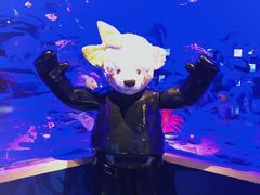 -成都泰迪熊博物馆