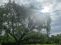 -永定河休闲森林公园