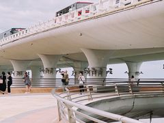 -演武大桥观景平台