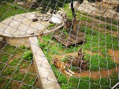 -石家庄市动物园