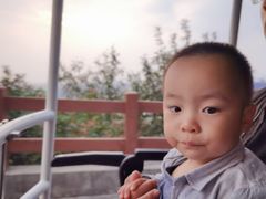 -杭州半山国家森林公园