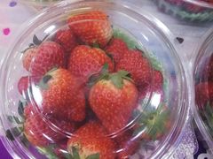 -百果园(奕淳公寓店)