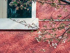 -浙江省杭州高级中学(贡院校区)