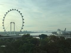 -新加坡文华东方酒店