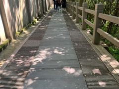 -上海佘山国家森林公园西佘山园