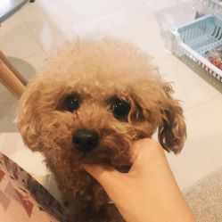 -Hands Nail专业美甲美睫