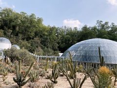 -深圳仙湖植物园