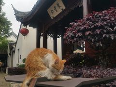 -檀园