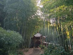 -宜兴龙背山森林公园